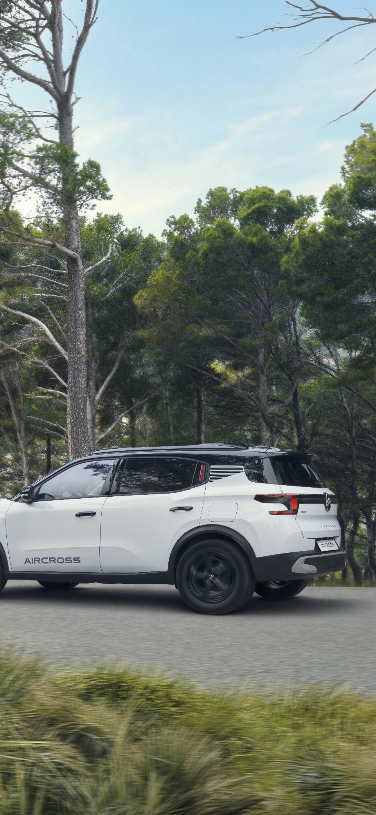 Frontansicht während der Fahrt des Citroën C3 Aircross SUV on a forest trail zeigt robuste Leistung für sichere, versatile and erschwingliche Mobilität.